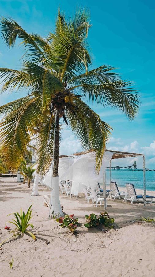 Makary Beach Tolu By Bernalo Hotels Exterior foto